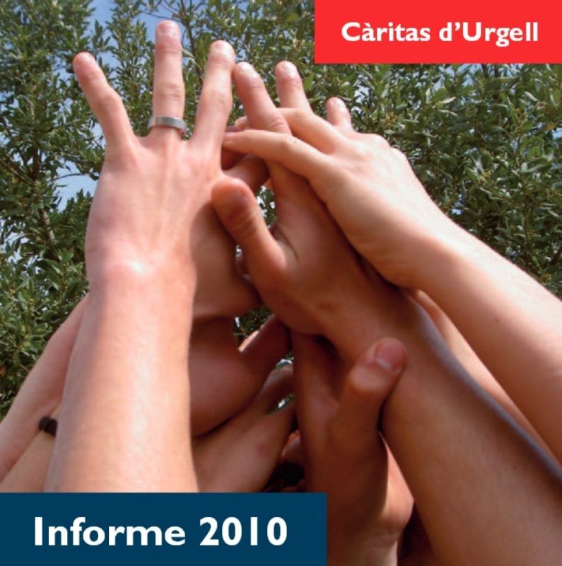 informe 2010